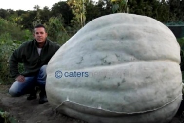 10 bức hình kỳ lạ nhất năm 2015