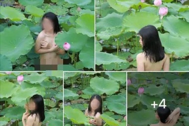 Đạo diễn tuyên bố cắt hết cảnh có diễn viên chụp ảnh khoả thân dưới hồ sen