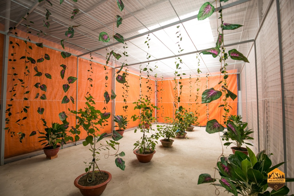 Cùng BSF Smart Farm phát triển kinh tế từ việc nuôi “Ruồi lính đen” - 3 Cùng BSF Smart Farm phát triển kinh tế từ việc nuôi “Ruồi lính đen” - 3