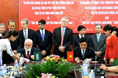 Viện Nghiên cứu lúa quốc tế thành lập văn phòng tại Việt Nam