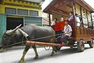 Du lịch Bát Tràng bằng xe trâu