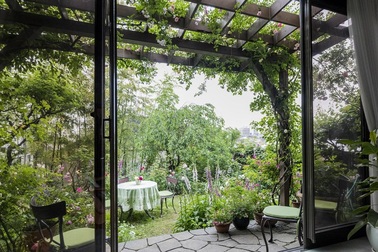 Vườn hồng đẹp như cổ tích của cụ bà Nhật Bản