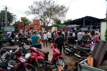 Sau bão, hàng nghìn người Quảng Ngãi chen lấn đi mua ngói