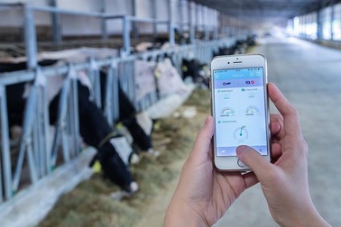 Vinamilk – Doanh nghiệp tiên phong trong ngành công nghiệp sữa