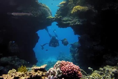 Vẻ đẹp rạn san hô Great Barrier