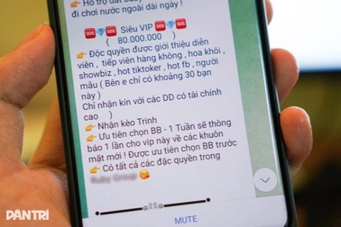 Người dùng Việt ủng hộ chặn Telegram giữa "ma trận" nhóm độc hại
