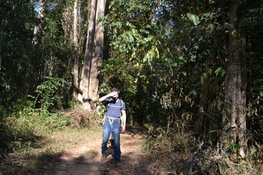 Đồng Nai phản đối mở đường xuyên Vườn quốc gia Cát Tiên