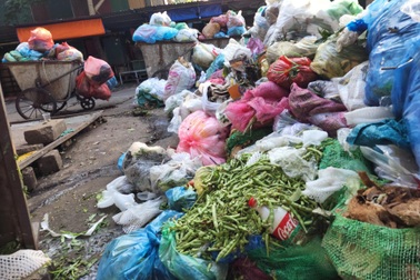 Rác thải nhựa, xác động vật không phân loại ngập ngụa các bãi tập trung