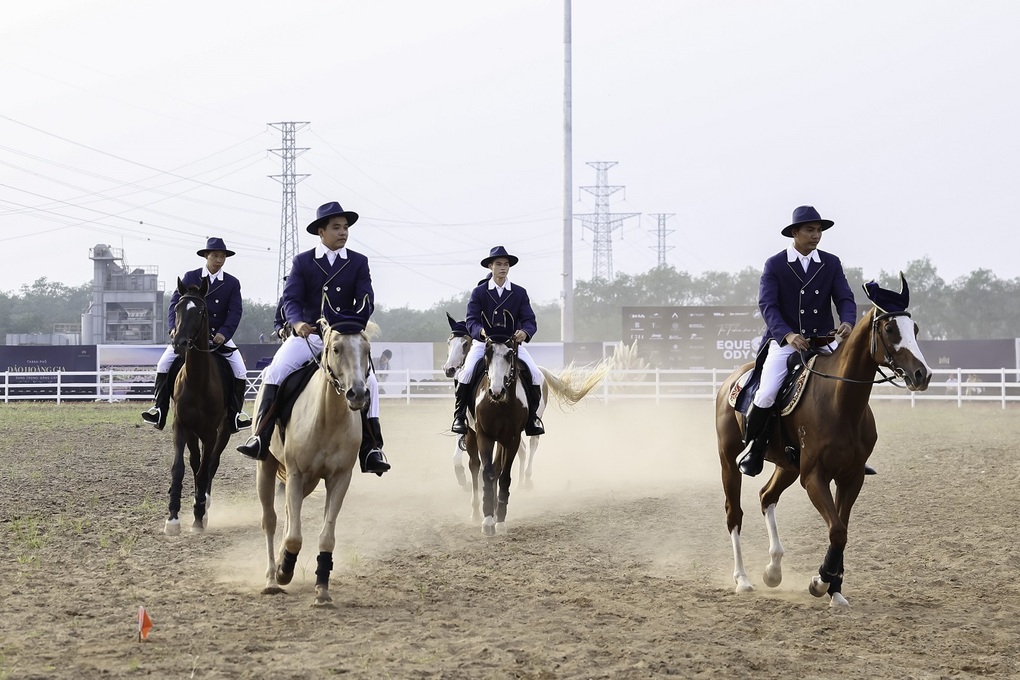 Du khách hào hứng khám phá bộ môn cưỡi ngựa tại Vinpearl Horse Academy Vũ Yên - 4 Du khách hào hứng khám phá bộ môn cưỡi ngựa tại Vinpearl Horse Academy Vũ Yên - 4