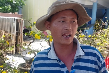 Mai vàng An Nhơn “ngóng” khách, người mua ít người xem nhiều