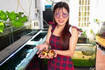 Vợ chồng trẻ thu nhập gấp 3 dân văn phòng từ khoảng sân thượng bé tí