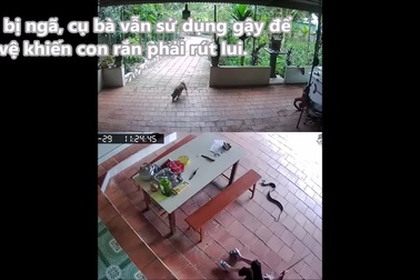 Khoảnh khắc thót tim: Rắn dữ liên tục tung cú mổ nhằm vào cụ bà 96 tuổi