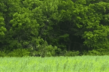 Khoảnh khắc đạn pháo "trăm phát, trăm trúng" Nga phá hủy 20 xe tăng Ukraine