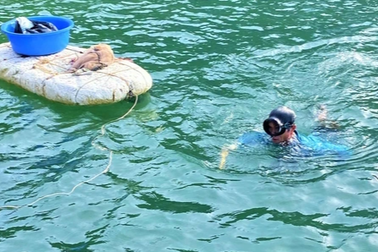 "Dị nhân" 20 năm lặn biển, tích tiền triệu mỗi ngày để đổi đời cho con