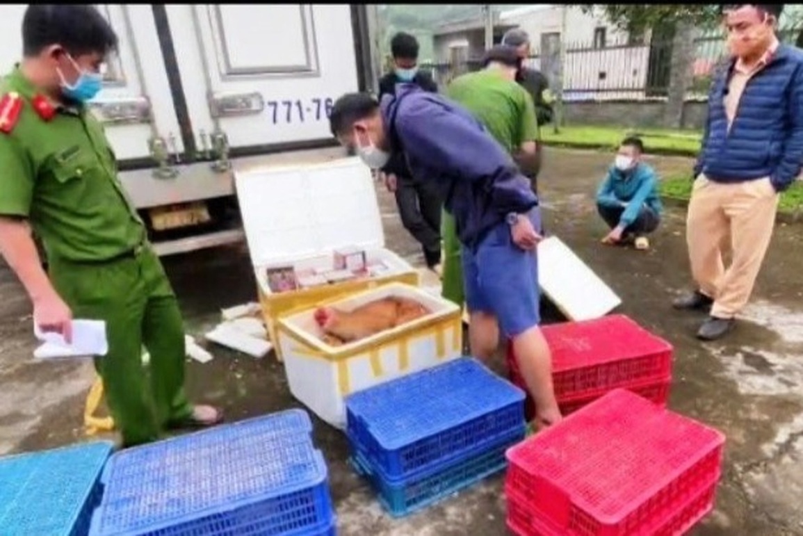 Bắt 2 vụ vận chuyển pháo nổ và động vật hoang dã quy mô lớn - 1 Bắt 2 vụ vận chuyển pháo nổ và động vật hoang dã quy mô lớn - 1