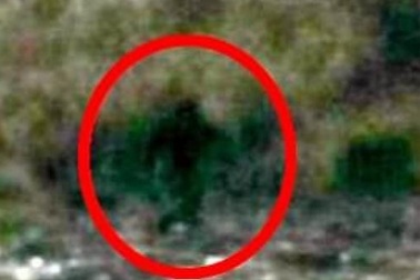 Phát hiện gia đình 5 Quái vật chân to trong rừng Mỹ?