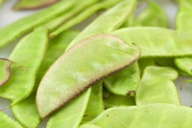 Thực phẩm dễ sinh độc tố