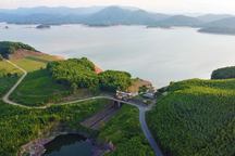 Cận cảnh tình trạng xuống cấp ở công trình đại thủy nông hồ Kẻ Gỗ