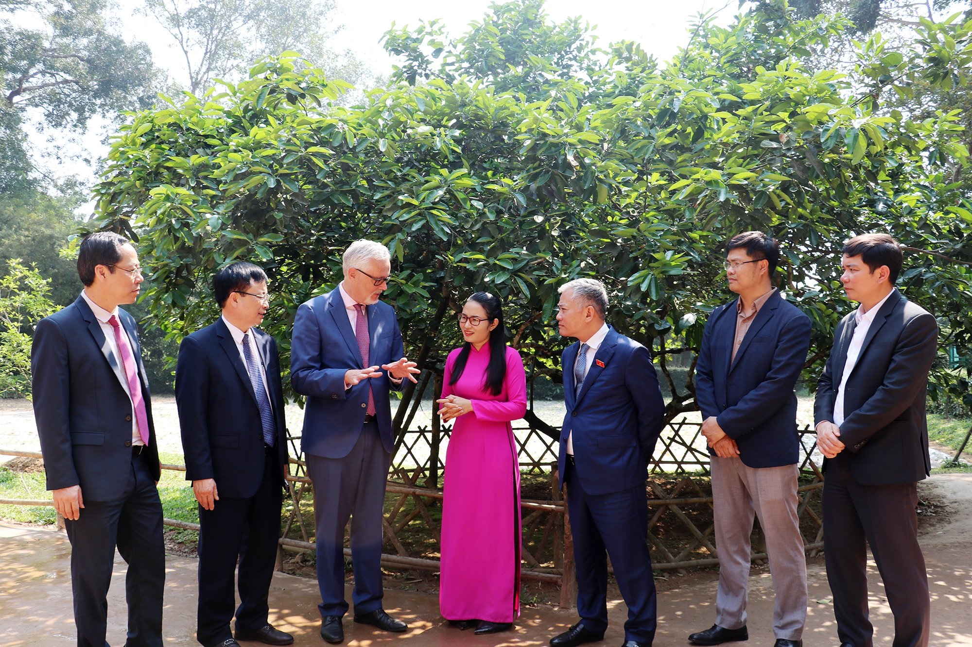 Đoàn du khách Đức thăm khu di tích Kim Liên.jpg Đoàn du khách Đức thăm khu di tích Kim Liên.jpg