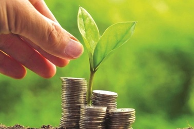 Chuyên gia: Trái phiếu xanh vẫn ngóng bộ tiêu chí