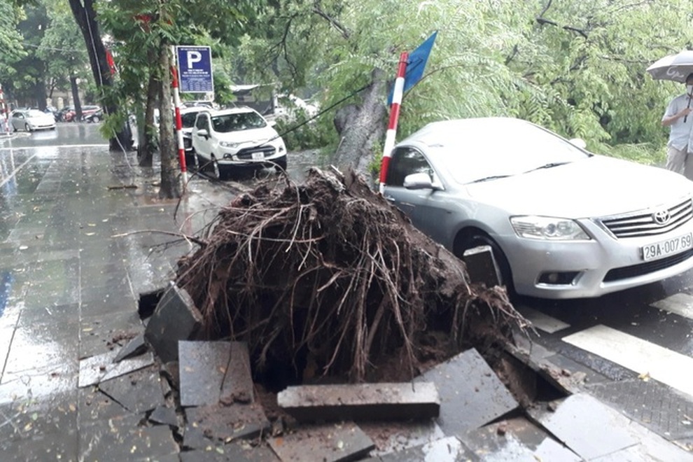Những điều cần biết khi di chuyển dưới trời mưa để đảm bảo an toàn - 5 Những điều cần biết khi di chuyển dưới trời mưa để đảm bảo an toàn - 5
