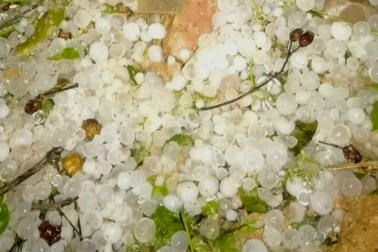 Mưa đá xếp thành lớp ở huyện biên giới Nghệ An