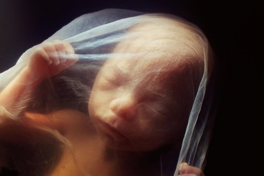 Chúng ta hô hấp trong bụng mẹ giống như những nàng tiên cá?