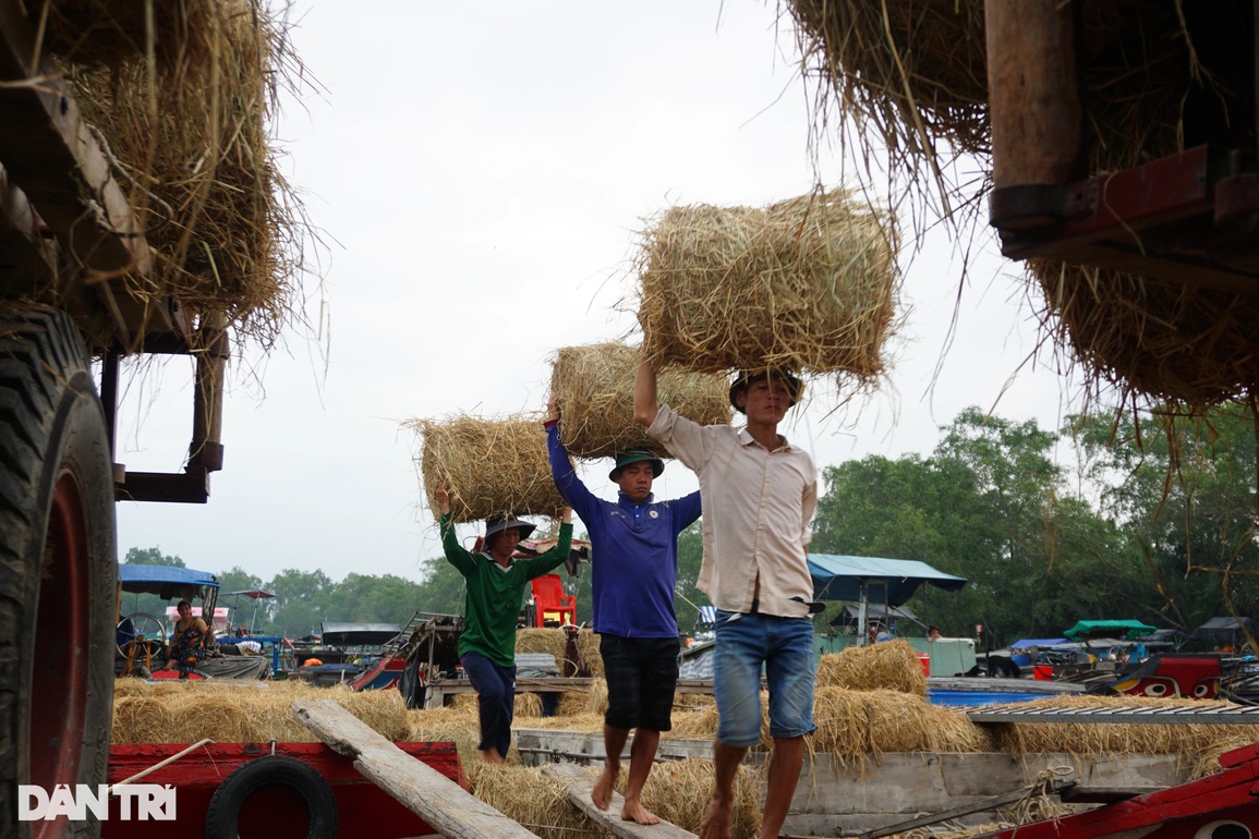Chợ rơm lớn nhất miền Tây nhộn nhịp ngày áp tết - 2 Chợ rơm lớn nhất miền Tây nhộn nhịp ngày áp tết - 2