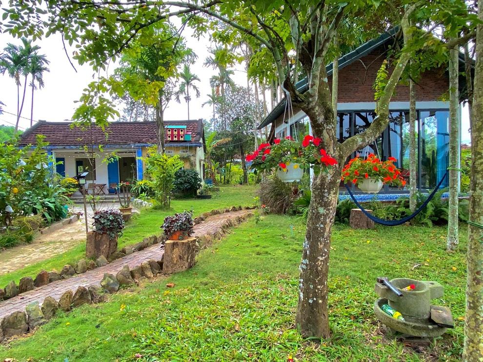 Ngôi nhà xanh mát với ao bạt ngàn sen của chàng kỹ sư - 3