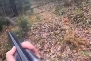 Thợ săn bình tĩnh đối mặt con gấu đang ở trạng thái kích động