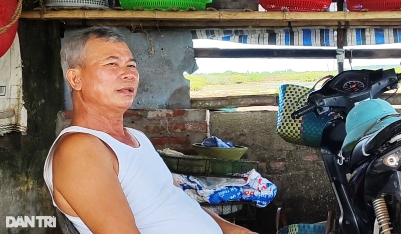 Vụ xén khu bảo tồn xây đô thị ở Thái Bình: Sẽ ảnh hưởng đến hệ sinh thái - 4 Vụ xén khu bảo tồn xây đô thị ở Thái Bình: Sẽ ảnh hưởng đến hệ sinh thái - 4