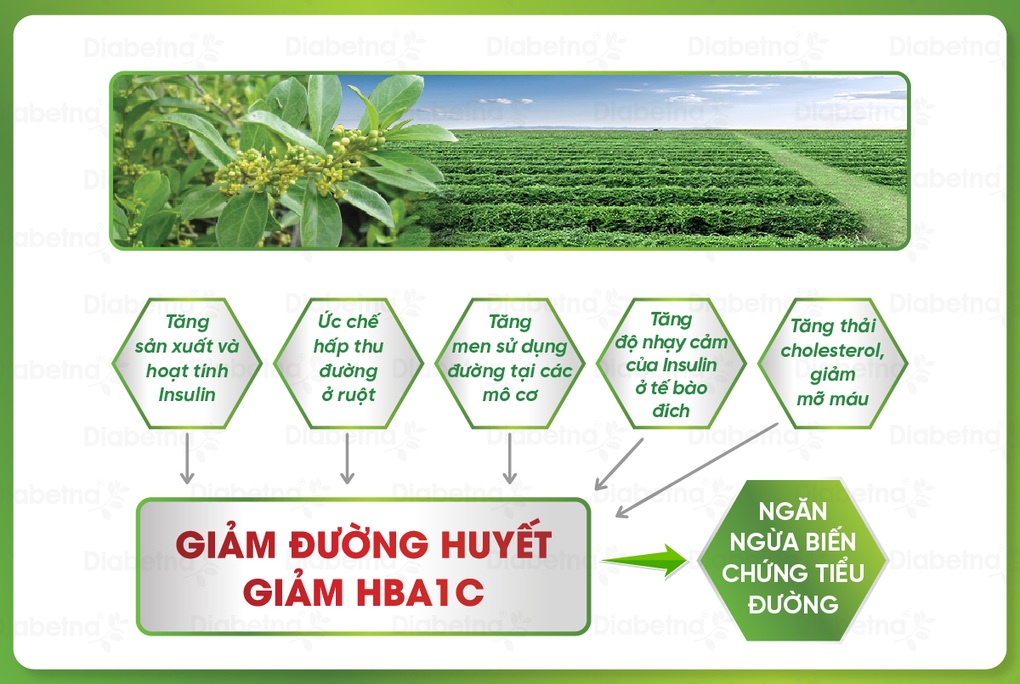 Sản phẩm Diabetna - 16 năm đồng hành cùng người bệnh tiểu đường - 1 Sản phẩm Diabetna - 16 năm đồng hành cùng người bệnh tiểu đường - 1