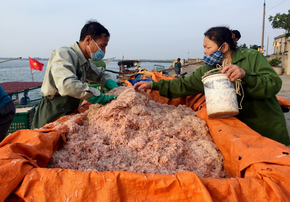 Ngư dân phấn khởi đón lộc đầu năm - 4 Ngư dân phấn khởi đón lộc đầu năm - 4