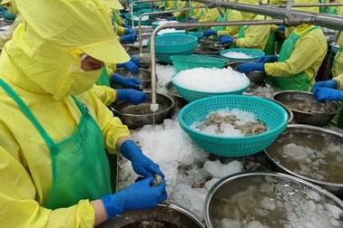 Lao động môi trường ẩm ướt, lạnh lẽo có thể hưởng chế độ bệnh nghề nghiệp