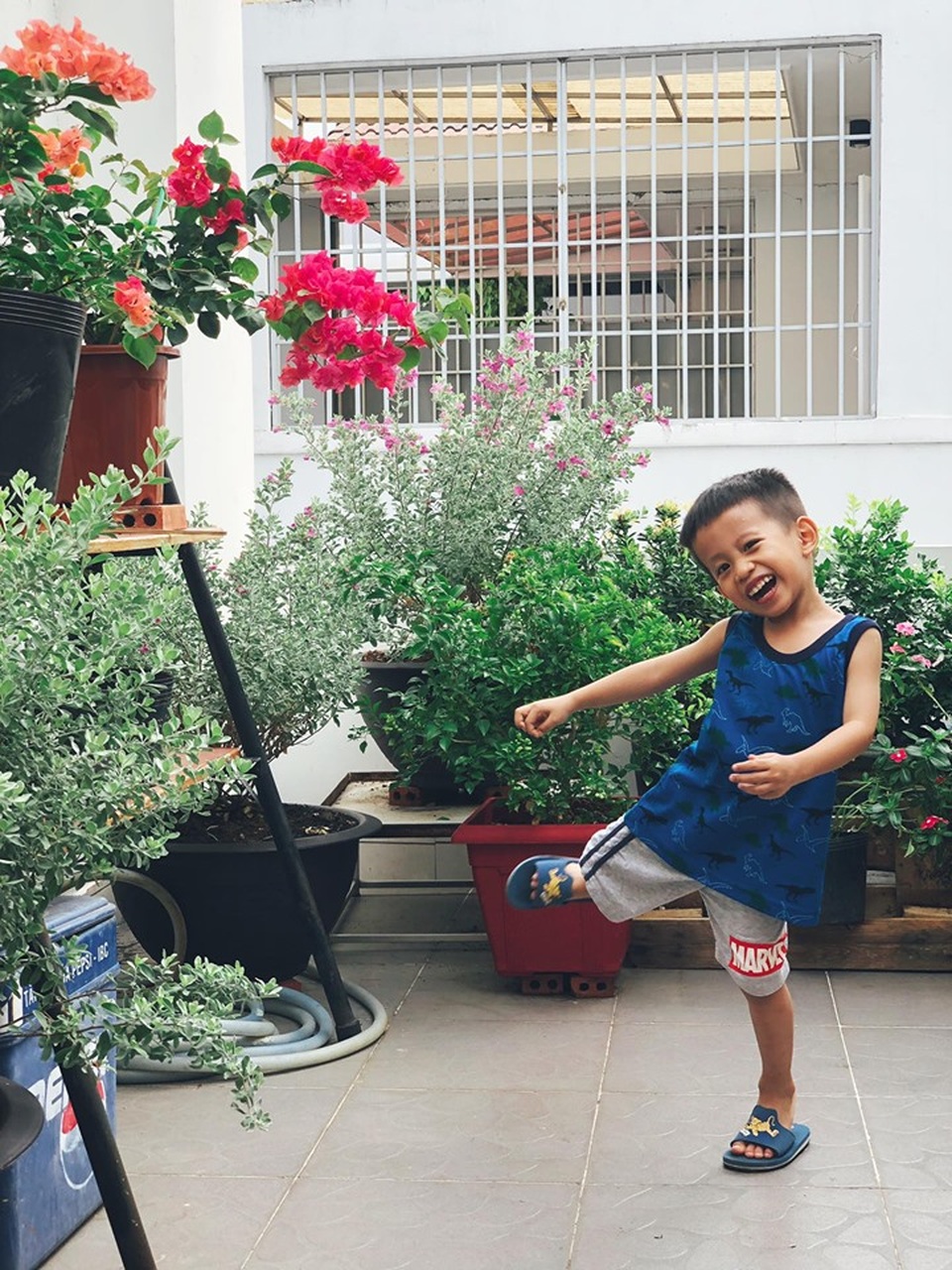 Người chồng ở Sài Gòn tự làm vườn sân thượng “sống ảo” cho vợ - 11 Người chồng ở Sài Gòn tự làm vườn sân thượng “sống ảo” cho vợ - 11
