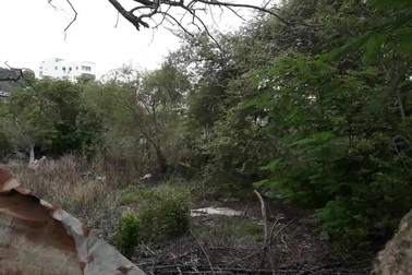 Bình Định: Nhiều dự án “khủng” trên “đất vàng” bị thu hồi