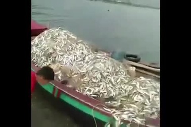 Ngư dân Hà Tĩnh trúng lộc "khủng" ngày đầu năm