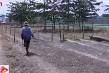 Những người làm nghề kéo dây thừng ở TP.HCM