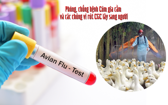 Ảnh CDC Phú thọ