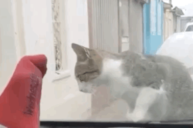 Những hình ảnh cười ra nước mắt trong thế giới xe