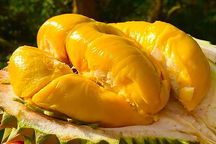 Sầu riêng Việt Nam đắt hàng bên Trung Quốc