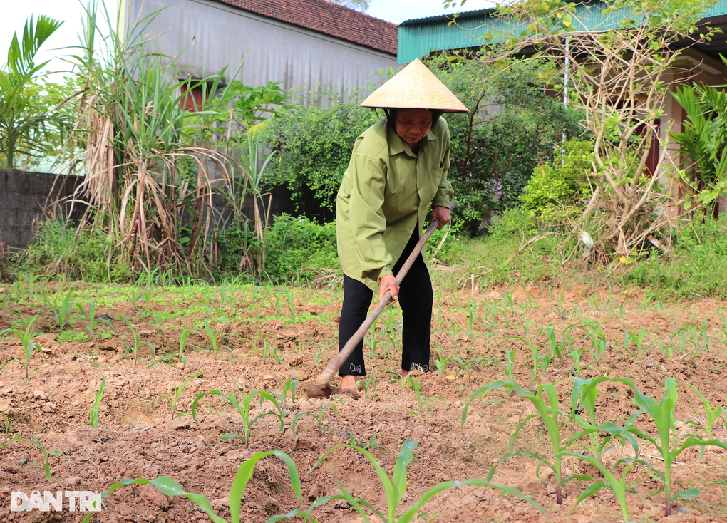 Người vợ ung thư gánh chồng chấn thương sọ não, con khờ dại - 5 Người vợ ung thư gánh chồng chấn thương sọ não, con khờ dại - 5