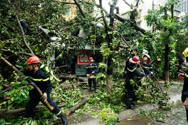 Phố phường Hà Nội tan hoang sau bão