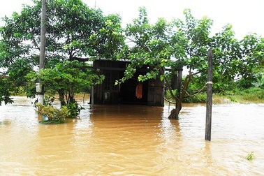 Hơn 1 tháng bị lũ cuốn, nạn nhân cuối cùng vẫn chưa được tìm thấy