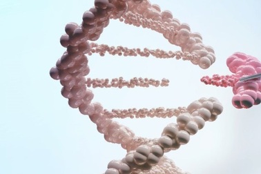 Tiến bộ trong kỹ thuật chỉnh sửa gen chống ung thư