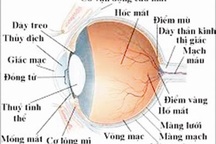Bệnh viện Mắt Hà Nội: Lập lờ tráo nhân thủy tinh thể?