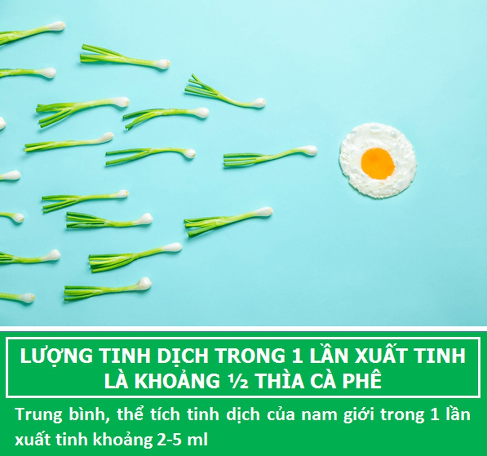 Bất ngờ với những sự thật ít biết về “đội quân” tí hon của các chàng - 8 Bất ngờ với những sự thật ít biết về “đội quân” tí hon của các chàng - 8