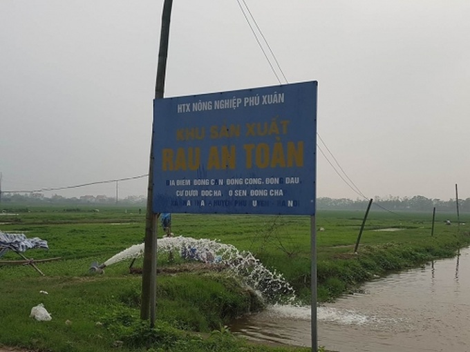 Su that khung khiep o vua rau an toan cung ung cho Ha Noi-Hinh-3