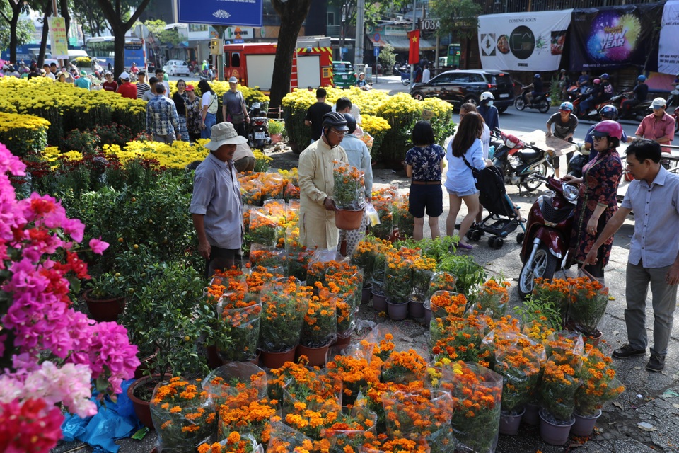 Thương lái mệt mỏi xả hàng, giá hoa tết nhiều nơi giảm 50-70% - 12 Thương lái mệt mỏi xả hàng, giá hoa tết nhiều nơi giảm 50-70% - 12