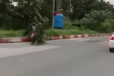 Gió mạnh thổi bay tán cọ rơi trúng người đi đường